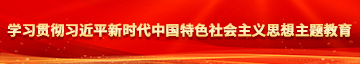 黄色超级大鸡鸡视频大全学习贯彻习近平新时代中国特色社会主义思想主题教育